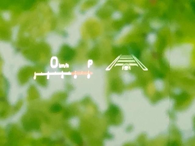 26659629_carP_l_8.jpg