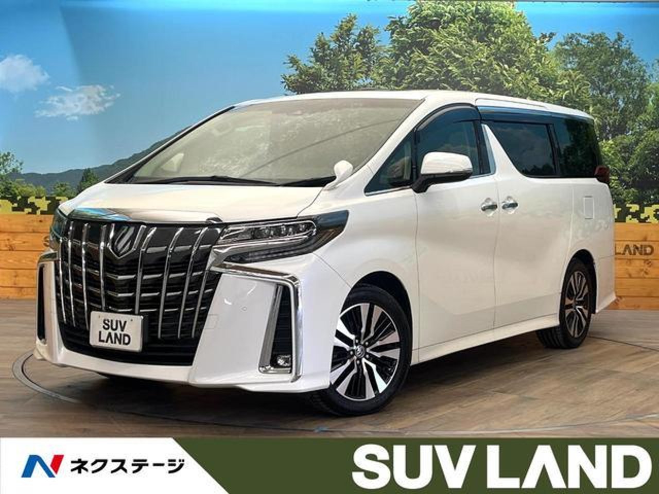 2021 Toyota Alphard, photo 1 of 1
