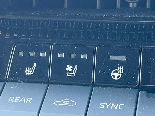 25694036_carP_l_6.jpg