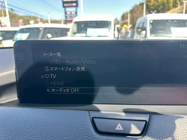 23223630_carP_l_4.jpg
