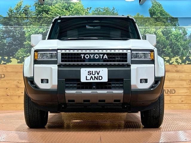 26711074_carP_l_9.jpg