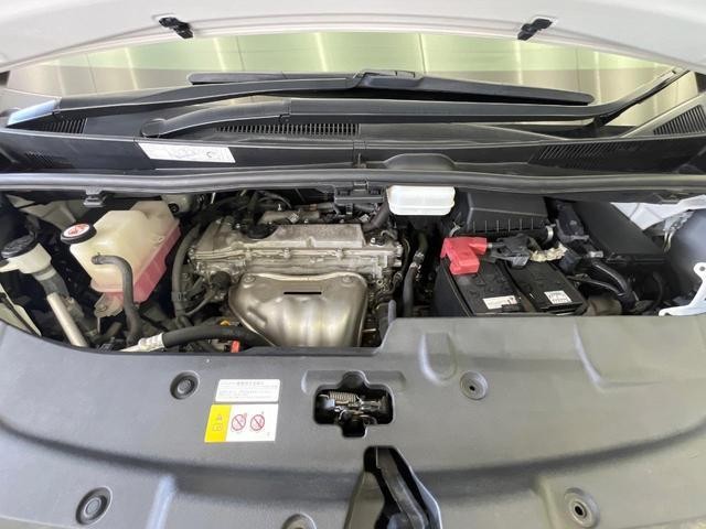 24953087_carP_l_18.jpg