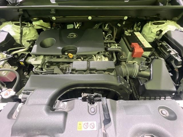 25694070_carP_l_18.jpg