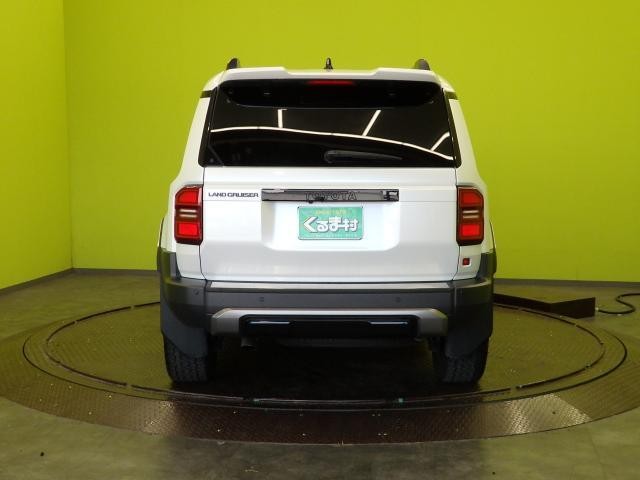 25842836_carP_l_18.jpg