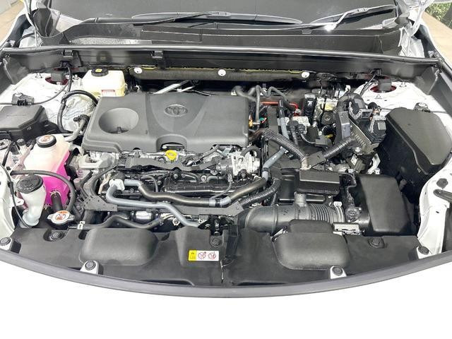 26168796_carP_l_18.jpg
