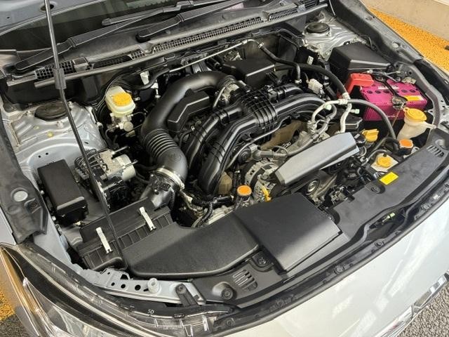 0560069A20261002W00509.jpg