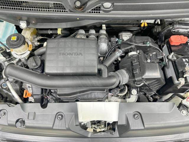 23846700_carP_l_16.jpg