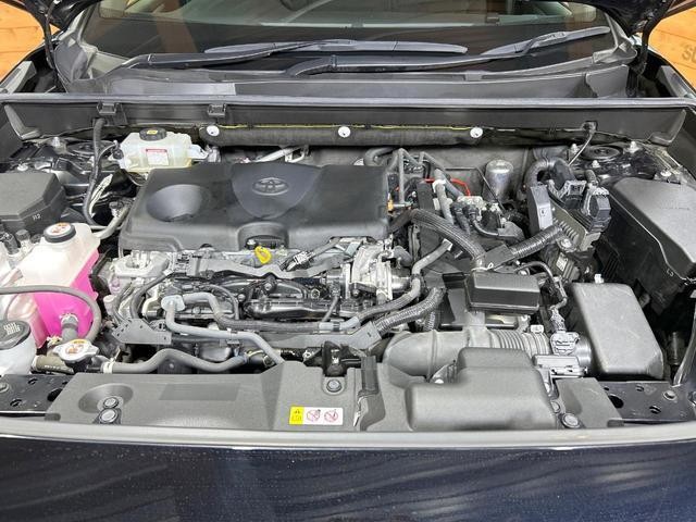 26882420_carP_l_12.jpg