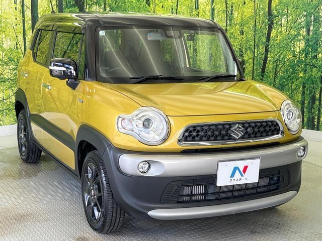 24953089_carP_l_12.jpg