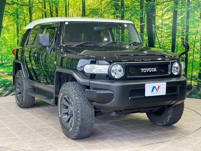 15829230_carP_l_18.jpg