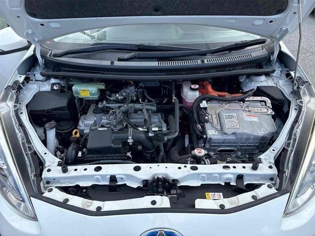 25298442_carP_l_20.jpg