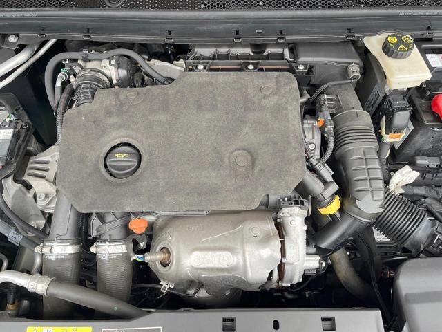 24994347_carP_l_12.jpg