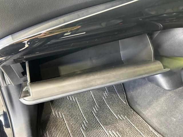 26168812_carP_l_20.jpg