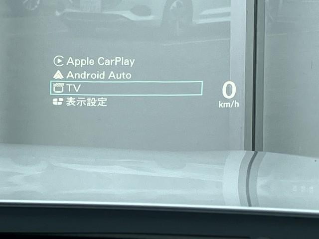 26601660_carP_l_7.jpg