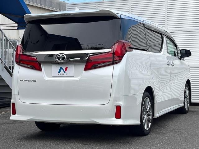 26293162_carP_l_16.jpg