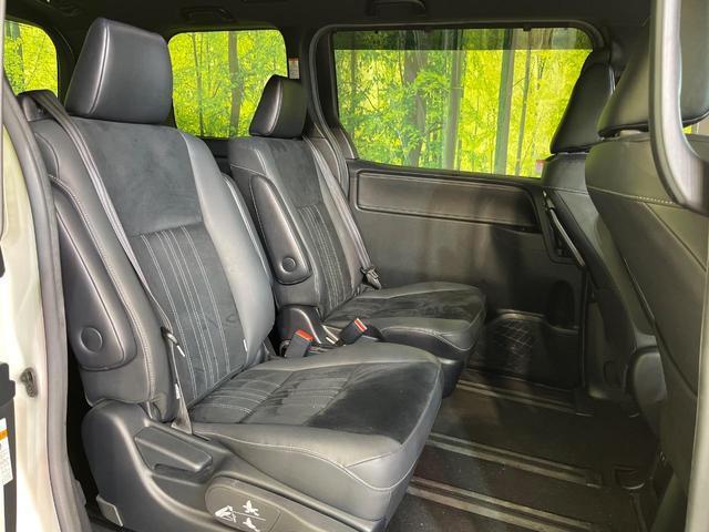 24154987_carP_l_19.jpg