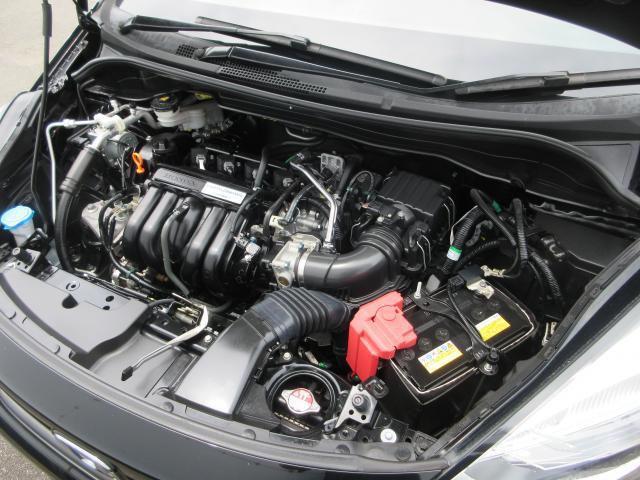 24913501_carP_l_20.jpg