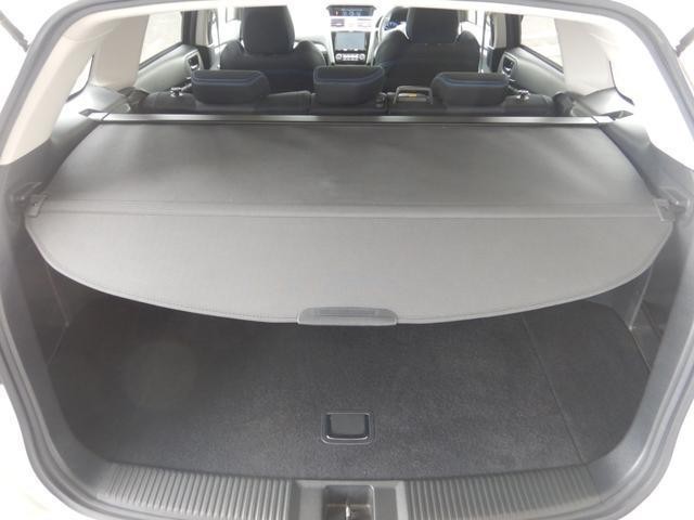 25158688_carP_l_5.jpg