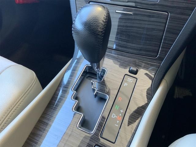 25546028_carP_l_5.jpg