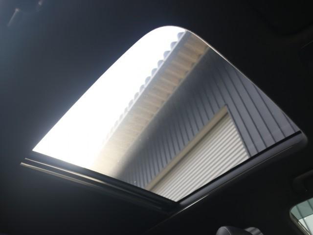 23581064_carP_l_12.jpg