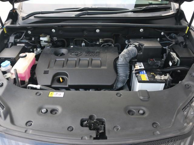 23581064_carP_l_17.jpg
