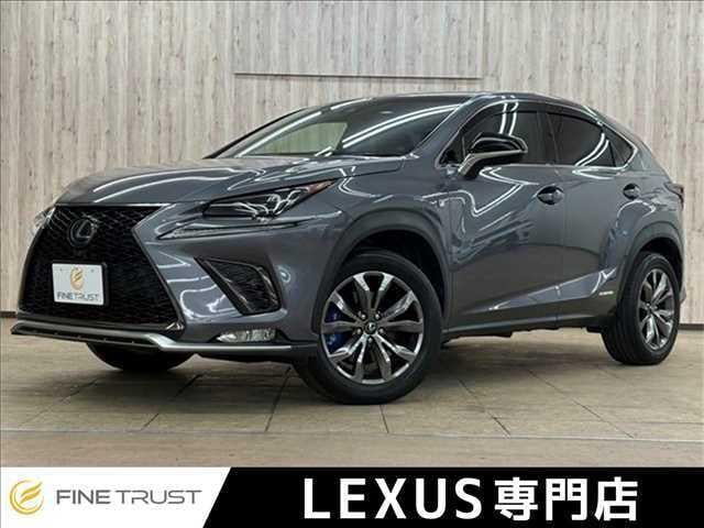 70009038213026041700100.jpg