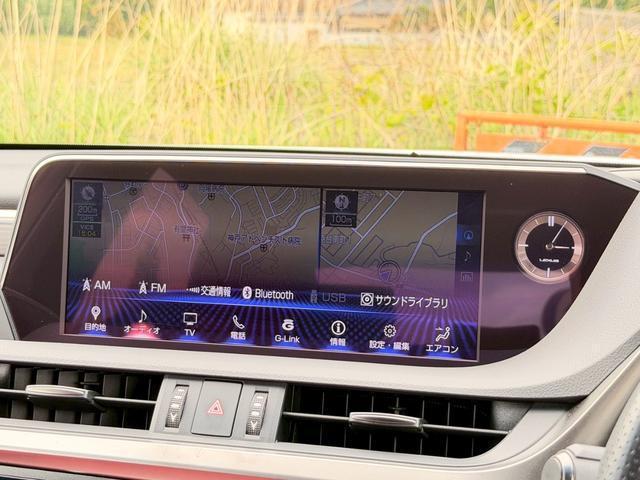 23789541_carP_l_10.jpg
