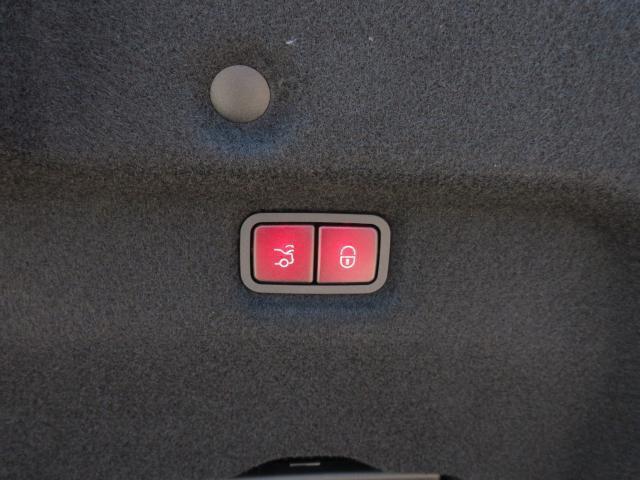 24426584_carP_l_7.jpg