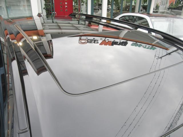 24325386_carP_l_10.jpg