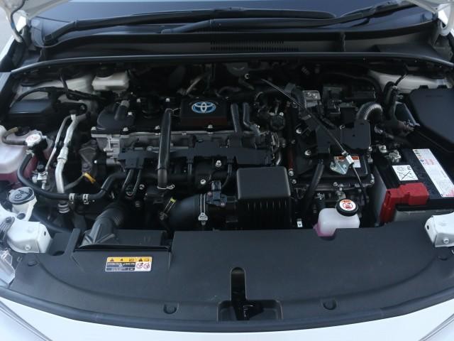 25658482_carP_l_17.jpg