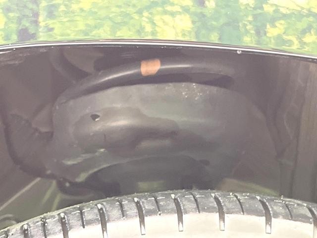 24746886_carP_l_20.jpg