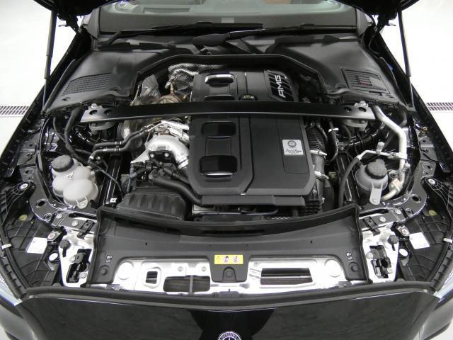 24259403_carP_l_20.jpg