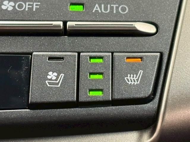 24515634_carP_l_19.jpg