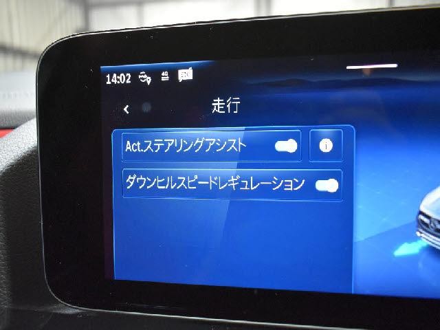 25704234_carP_l_17.jpg