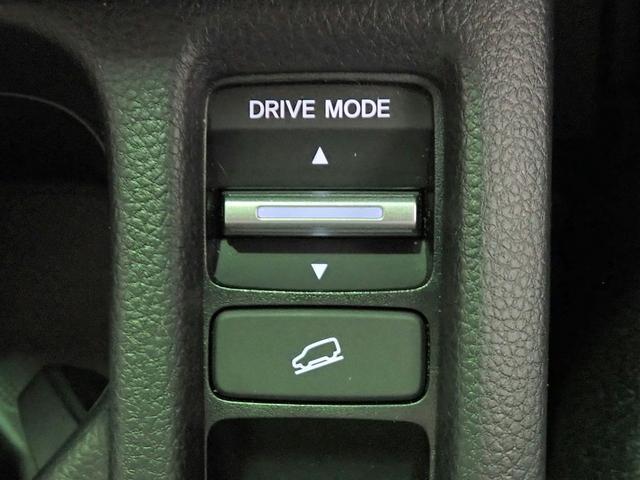 0201190A30260502W00111.jpg