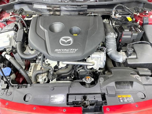 24892173_carP_l_16.jpg
