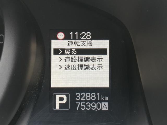 24795677_carP_l_5.jpg
