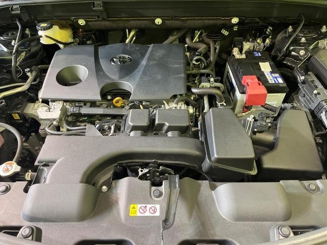 26751024_carP_l_18.jpg