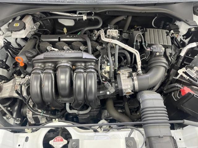 25283508_carP_l_16.jpg
