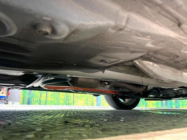 25694165_carP_l_6.jpg