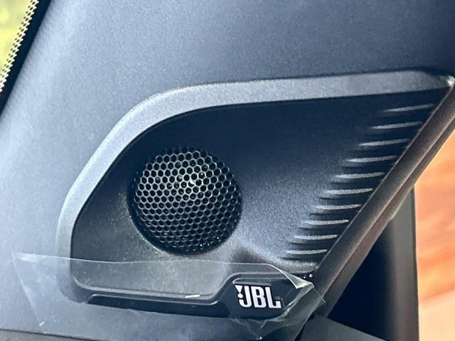 26147146_carP_l_4.jpg