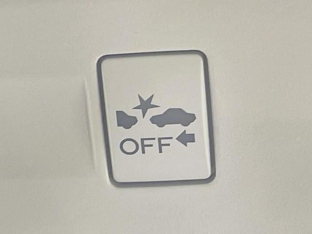 25138464_carP_l_17.jpg