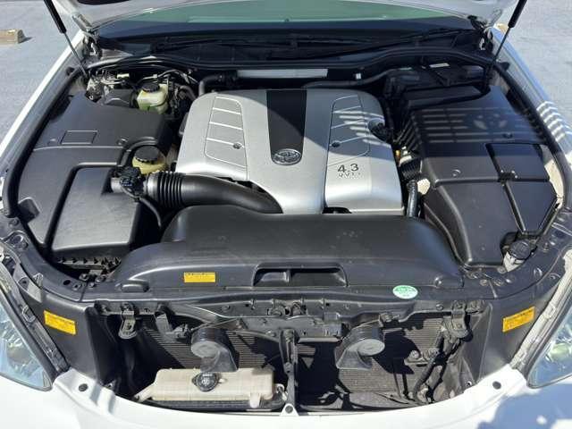 23337849_carP_l_16.jpg