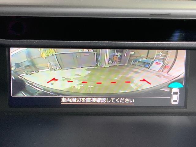 23884505_carP_l_9.jpg