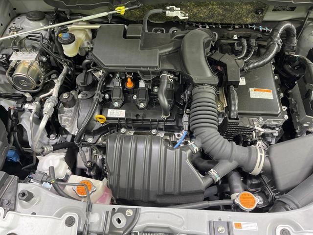 26064149_carP_l_16.jpg