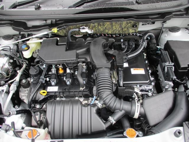 26293933_carP_l_17.jpg