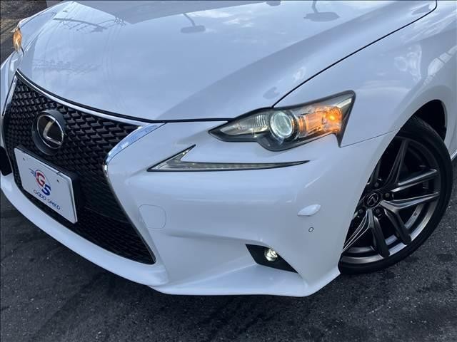 25667803_carP_l_16.jpg