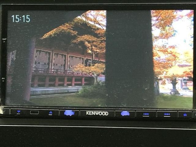 25102576_carP_l_6.jpg