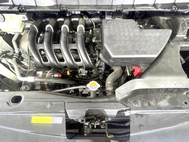 24953525_carP_l_18.jpg