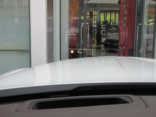 27052453_carP_l_16.jpg